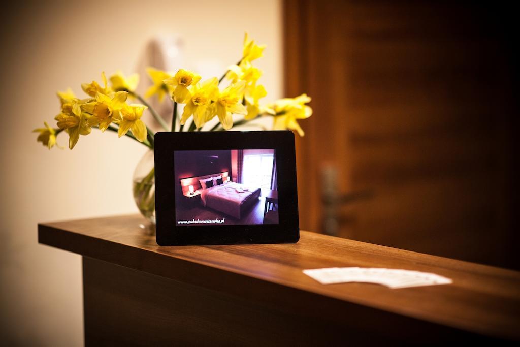 Rezydencja Pod Ochorowiczowka B&B Wisła Dış mekan fotoğraf